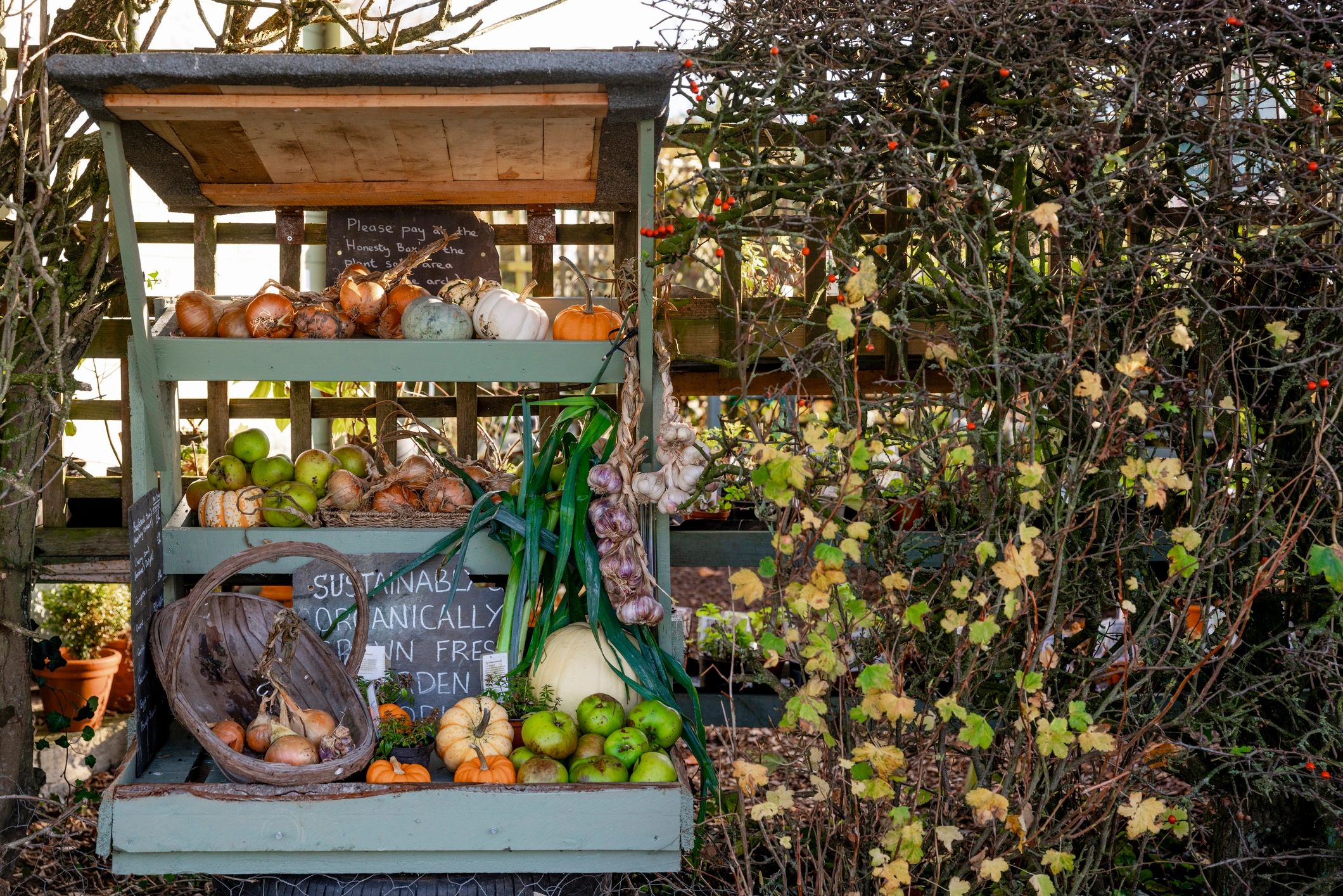 Fresh vegetables displayed at a market stall