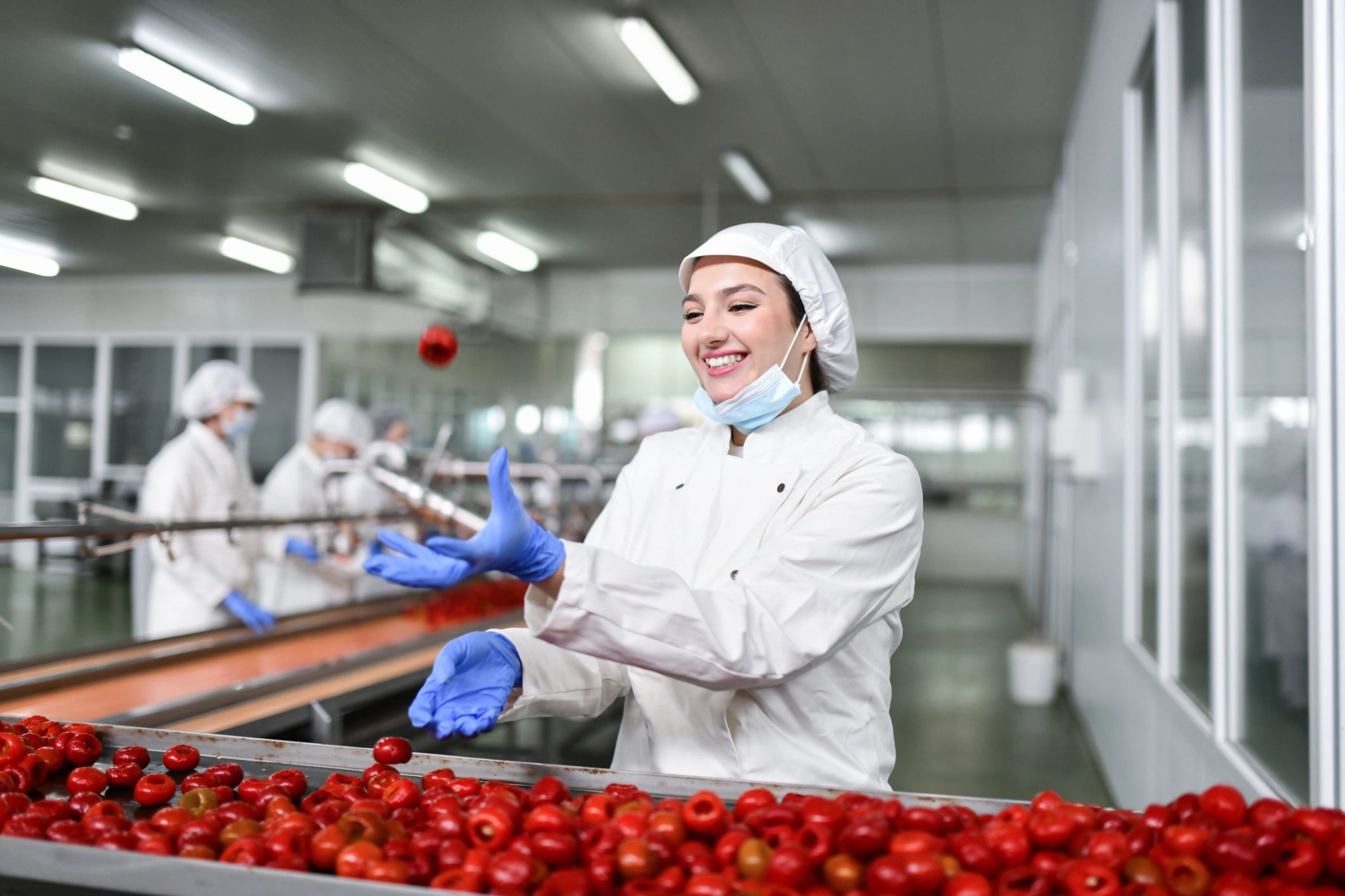 Produce processing worker inspecting peppers